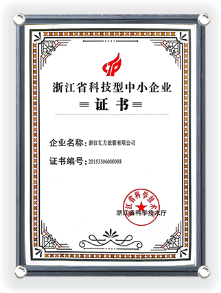 Zhejiang Province Science and Technology Small and Medium Enterprise Certificate -1