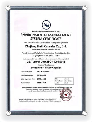 Environmental Management System Certification Certificate (English Version) March 22, 2025