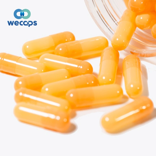 Solubility of Empty Enteric Coated Capsules: A Comprehensive Guide