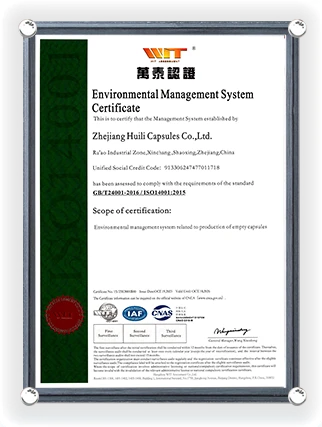 Environmental Management System Certificate